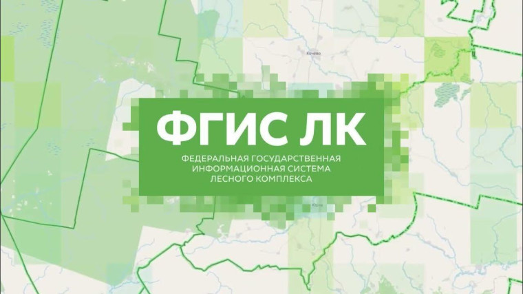 🌲Заключение договоров купли-продажи лесных насаждений для собственных нужд через ФГИС ЛК.