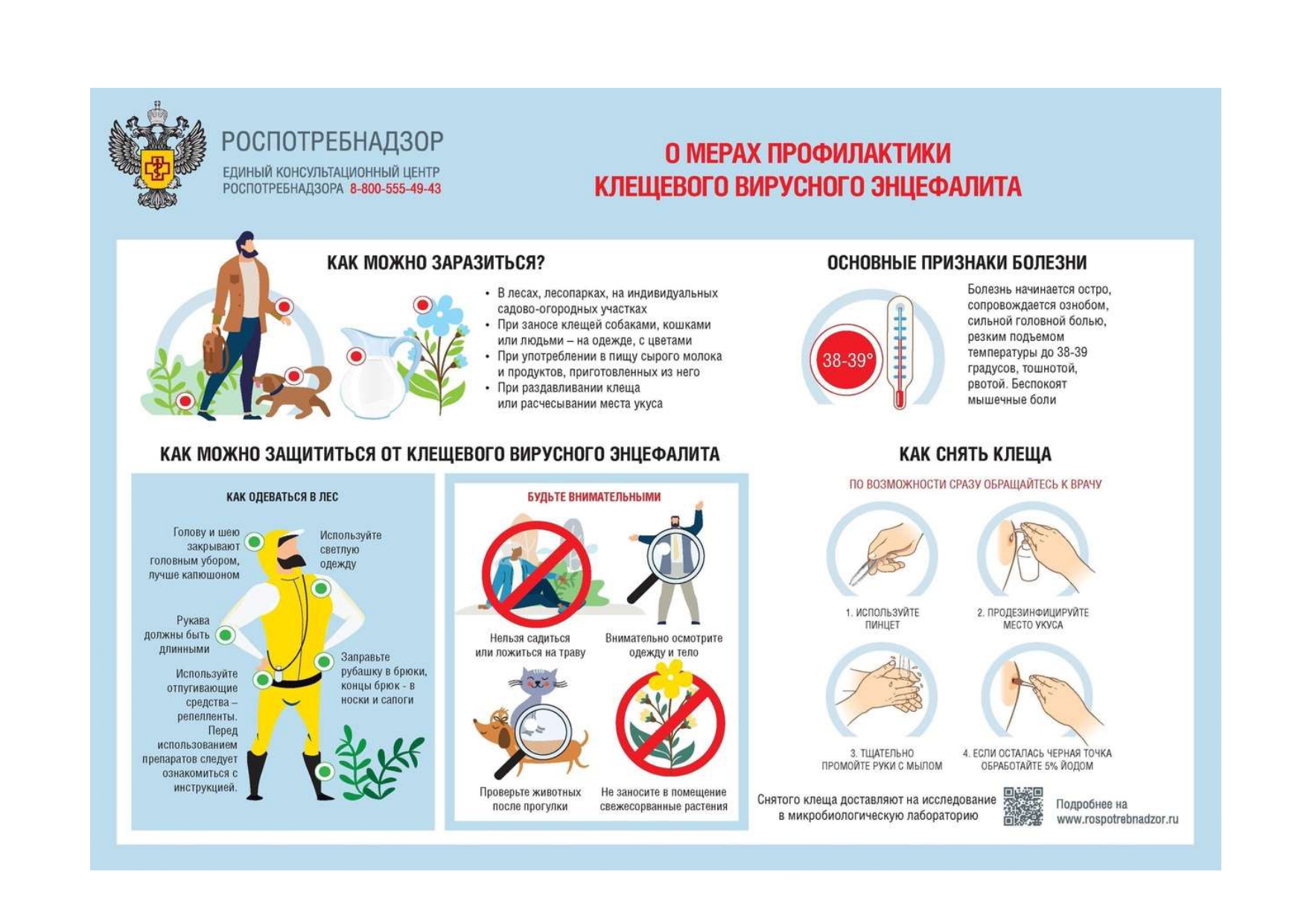 О мерах профилактики клещевого вирусного энцефалита.