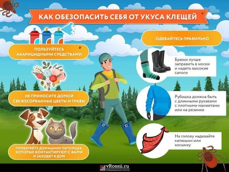 Пять &quot;НЕ&quot; В Сезон активности клещей.