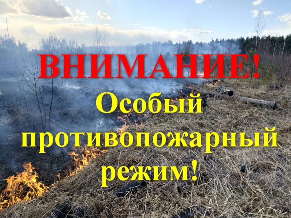 Особый противопожарный режим в Канском районе введут с 28 апреля.