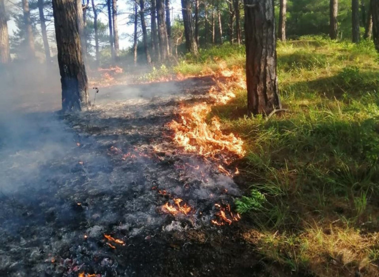 Особое внимание всем грибникам, ягодникам и рыбакам..