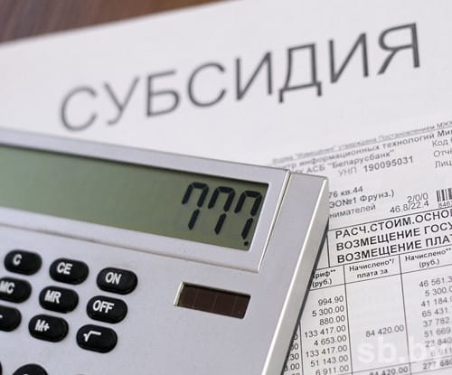 Субсидии с учетом доходов.