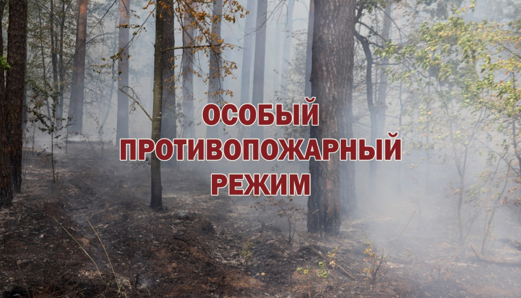 Укажите подпись к картинке. Укажите подпись к картинке.