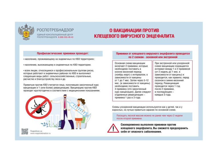 Вакцинация КВЭ. Вакцинация КВЭ.