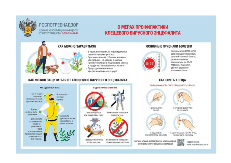 О мерах профилактики клещевого вирусного энцефалита. О мерах профилактики клещевого вирусного энцефалита.