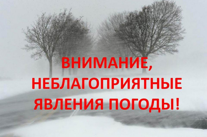 Оставайтесь дома!. Оставайтесь дома!.