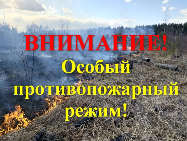 Особый противопожарный режим в Канском районе введут с 28 апреля. Особый противопожарный режим в Канском районе введут с 28 апреля.